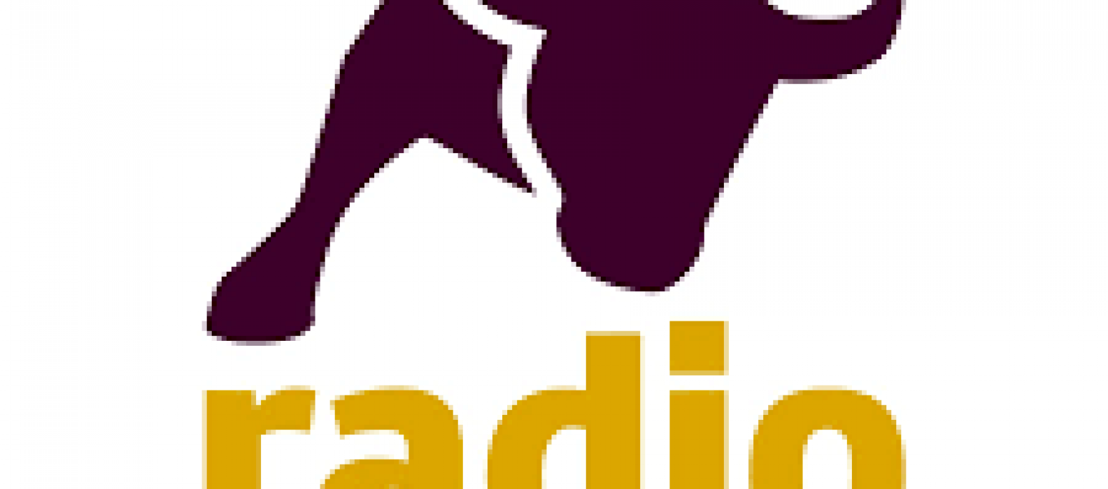 Radio intereconomia archivos IfCapital Murcia